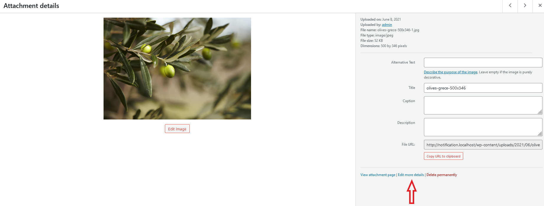 WordPress Media Library edit attachment restore link